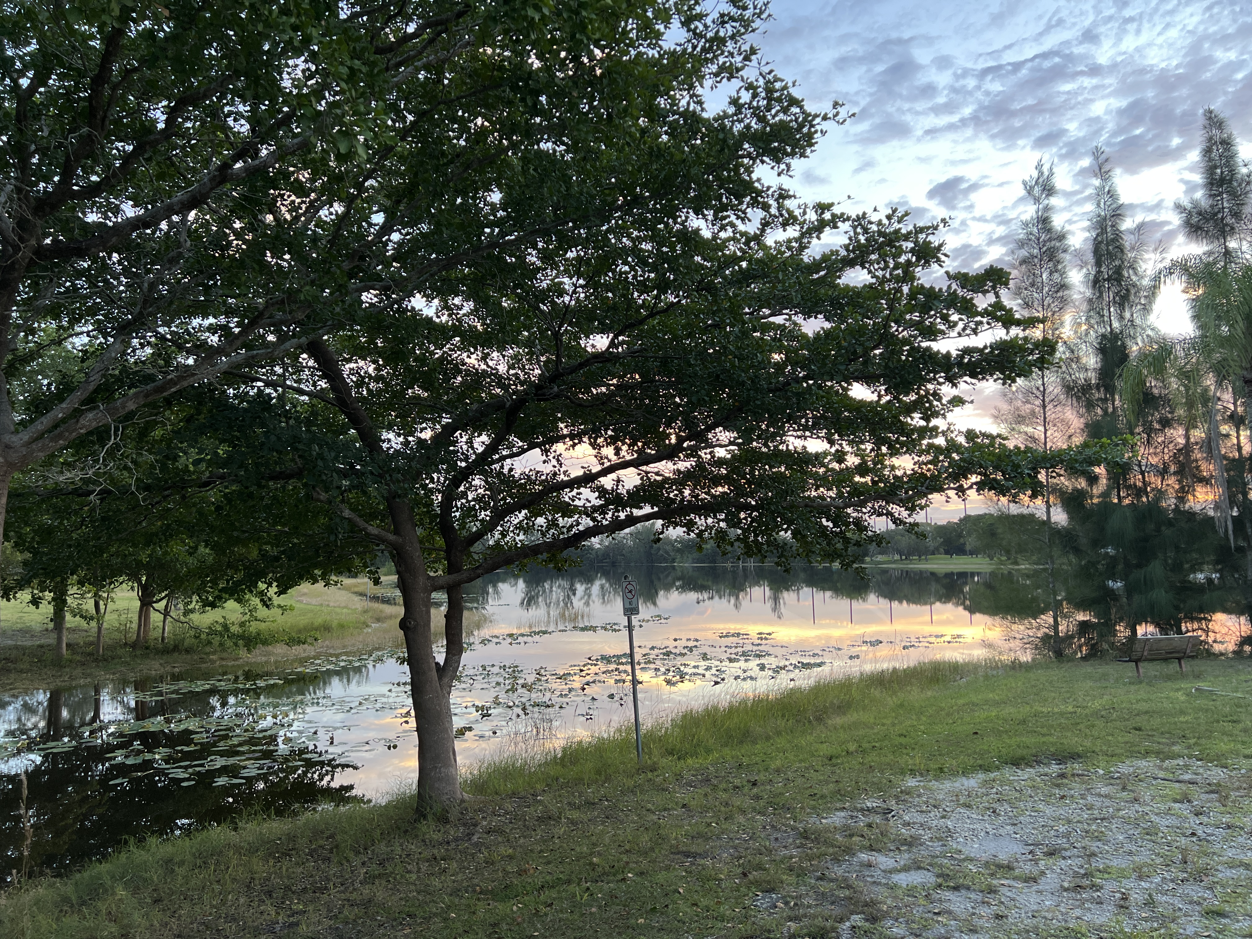 ./2025/12 - Pembroke Pines Wedding/IMG_7616.JPG